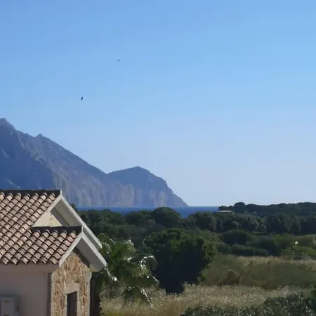 Myrtus Tavolara - Sea View Vaccileddi