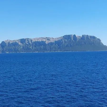 شقة Myrtus Tavolara - Sea View Vaccileddi